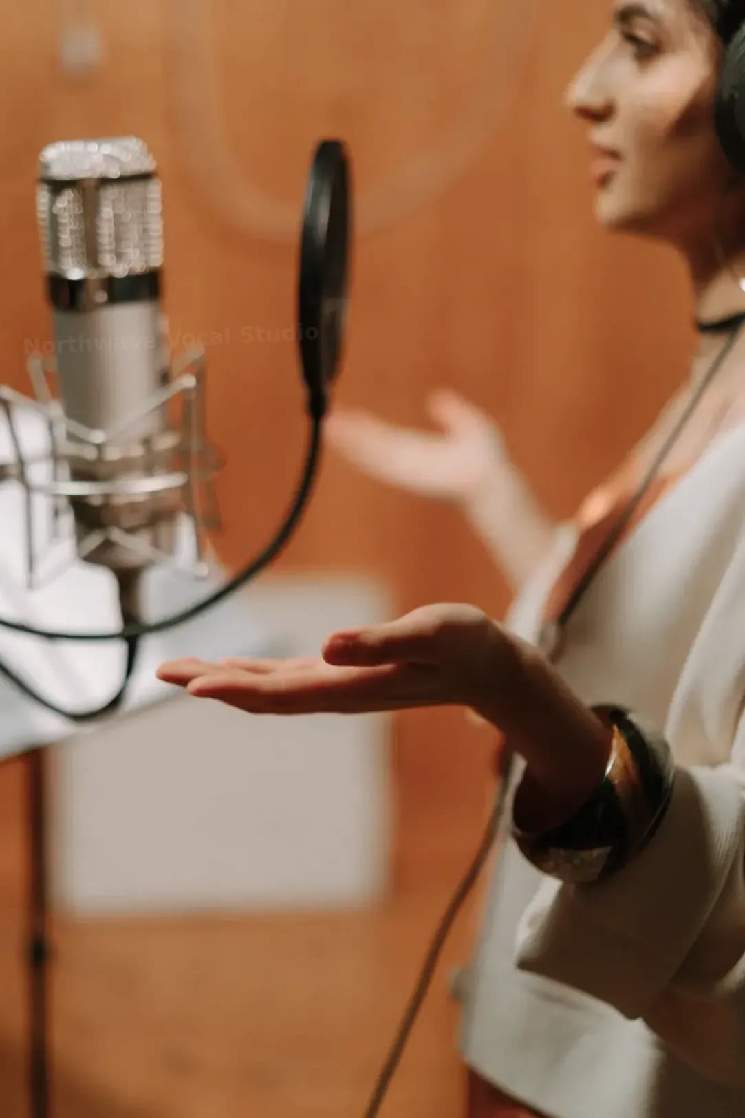 Northwave Vocal Studio 10